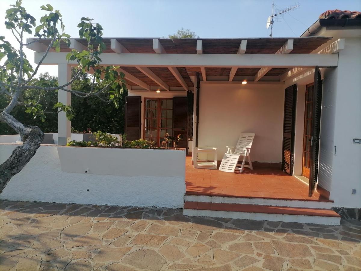 Apartmán Le Palme Capoliveri  Exteriér fotografie