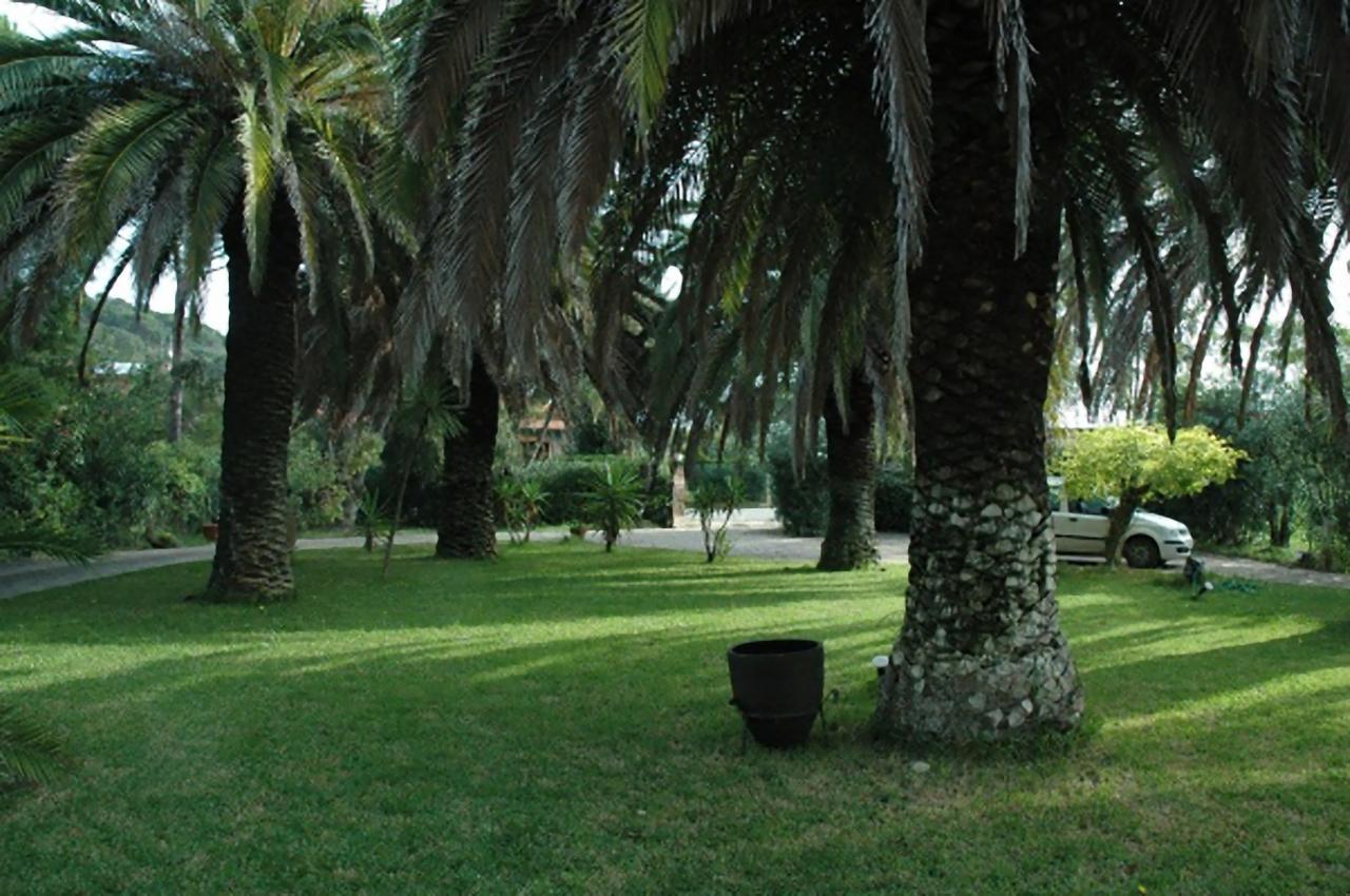 Apartmán Le Palme Capoliveri  Exteriér fotografie
