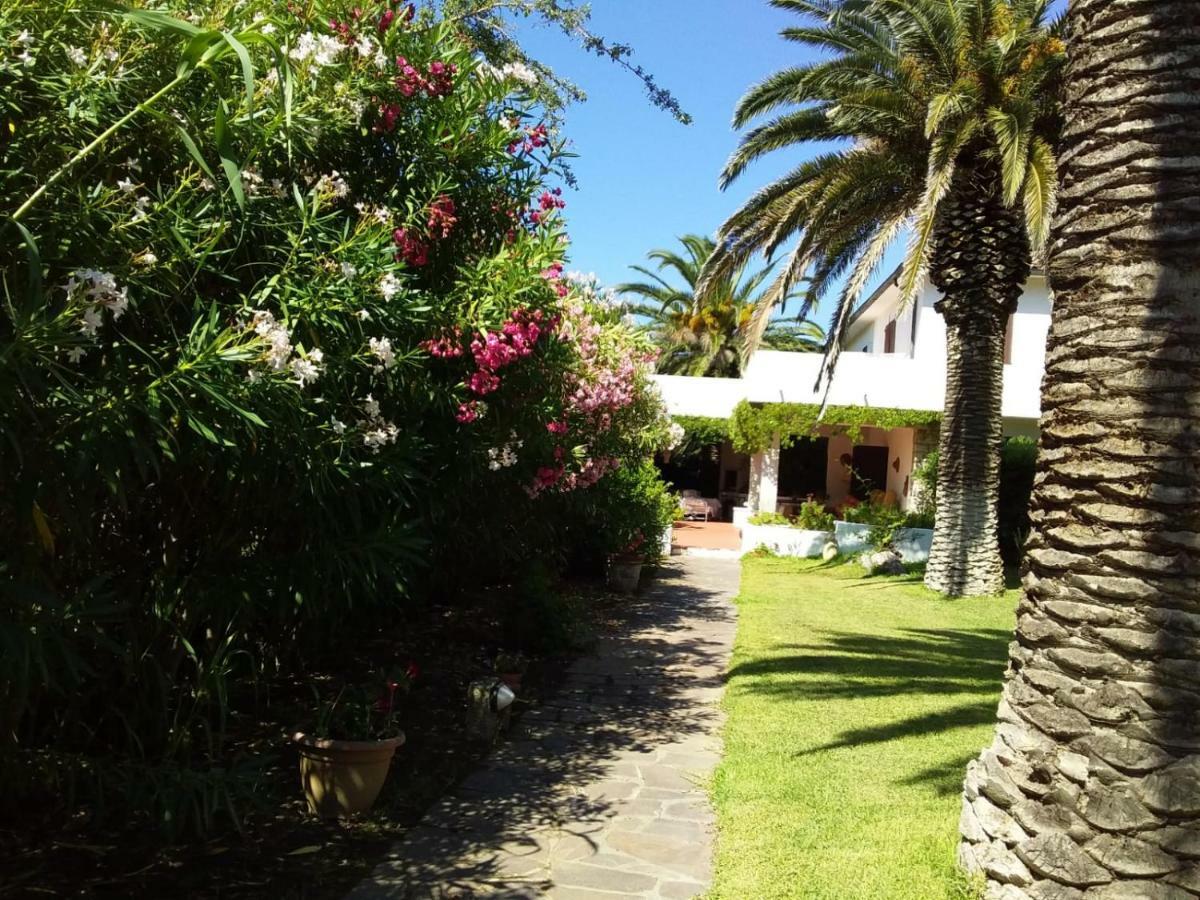 Apartmán Le Palme Capoliveri  Exteriér fotografie