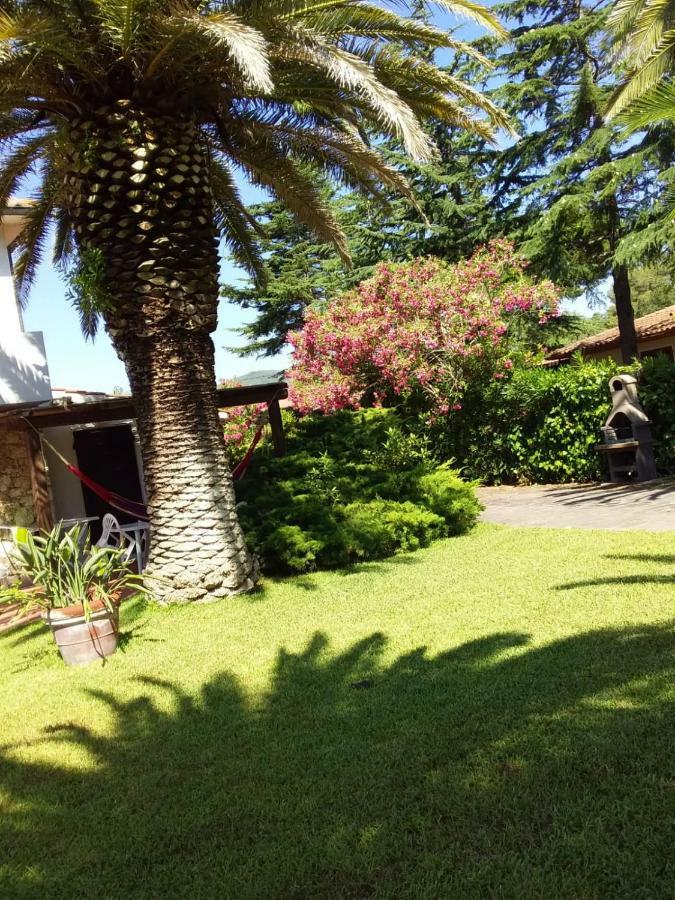 Apartmán Le Palme Capoliveri  Exteriér fotografie