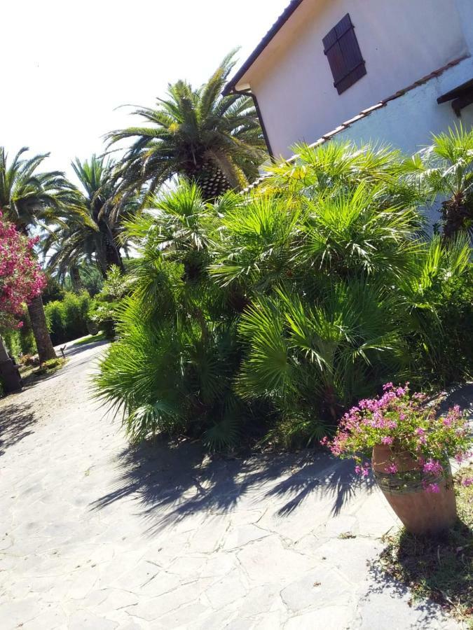 Apartmán Le Palme Capoliveri  Exteriér fotografie